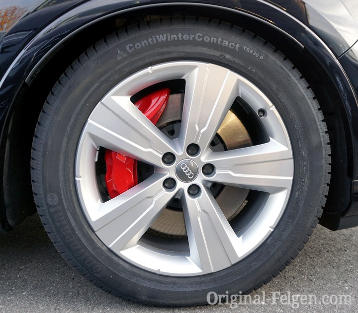 Audi Winter Alufelge 5-Arm-Crena-Design