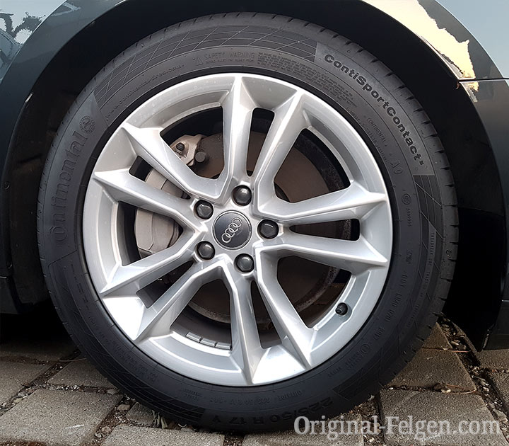 5 Doppelspeiche Design Alufelge silber