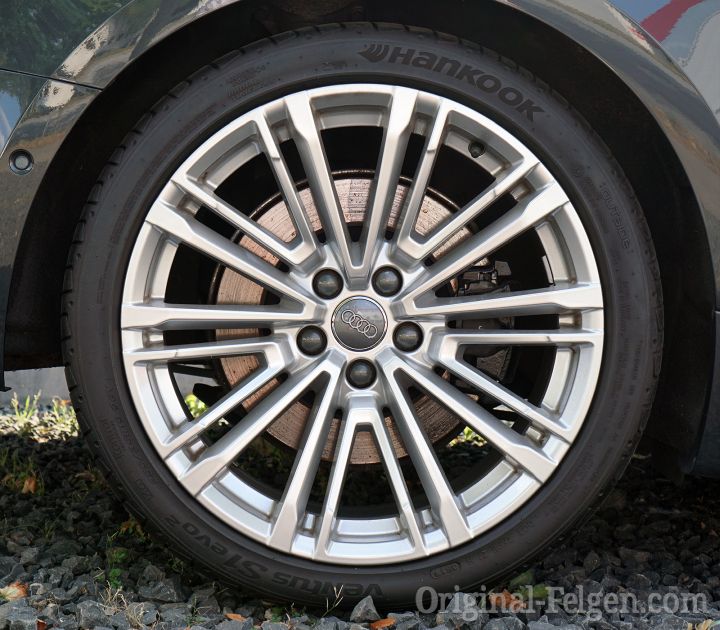 Audi Alufelge 10 Doppelspeichen Design silber
