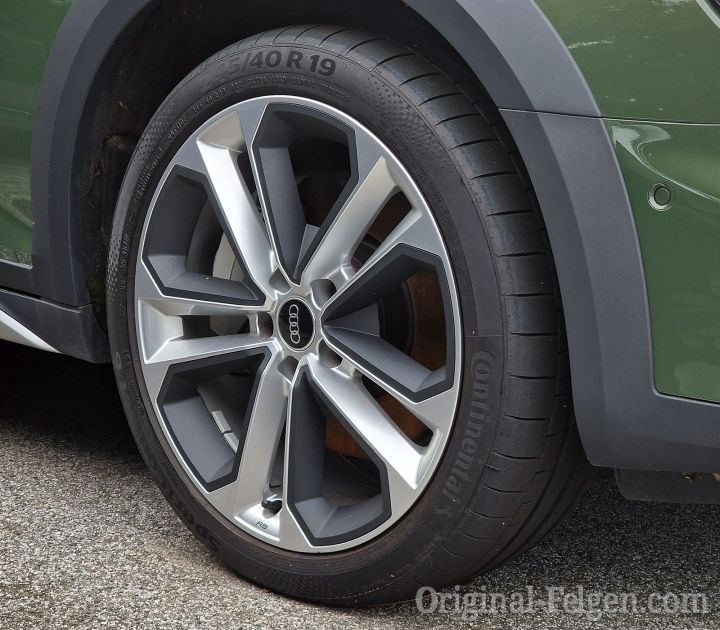 Audi Alufelge 5-Doppelspeichen-Modul